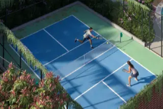 Pickleball Court
